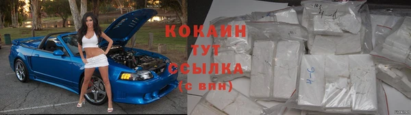 PSILOCYBIN Надым