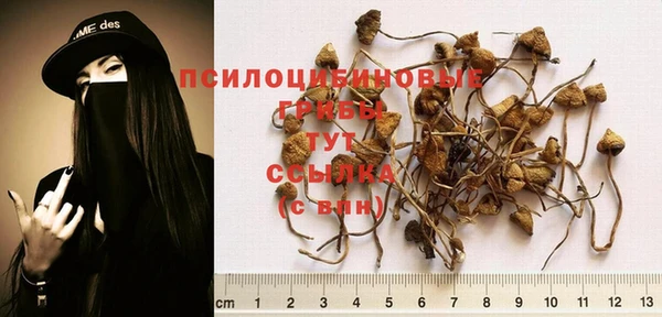 кокаин премиум Михайлов